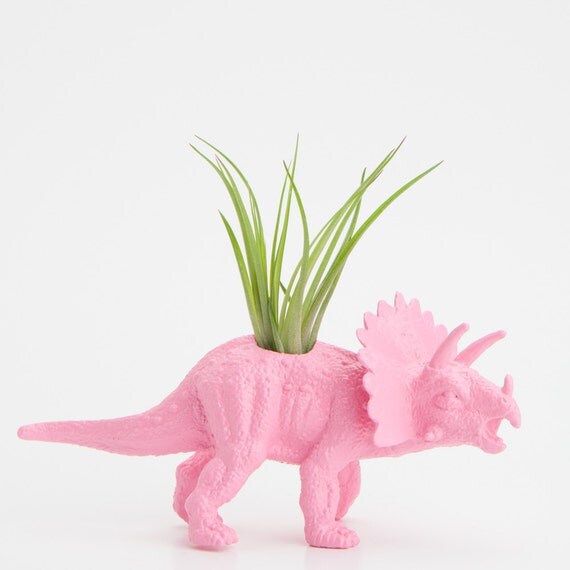 Small Dinosaur Planter with Air Plant Room Decor, College Dorm Ornament Plants and Edibles