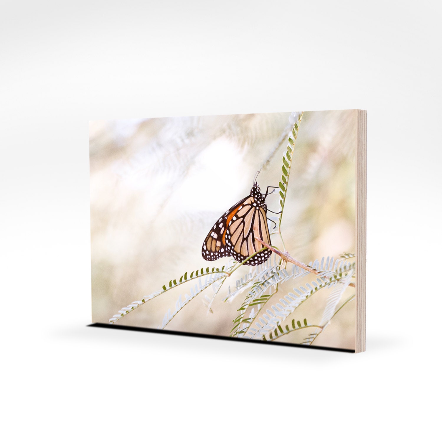 wall art ready-to-hang 5x7 butterfly woodland photo panel eco friendly maple plywerk FREE SHIPPING, no framing required